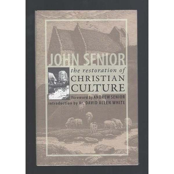 Antique Radio Restoration Guide: Johnson, David: 9780870696381